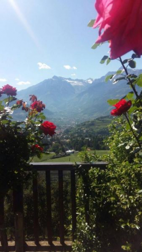 Schwarzplatterhof Merano